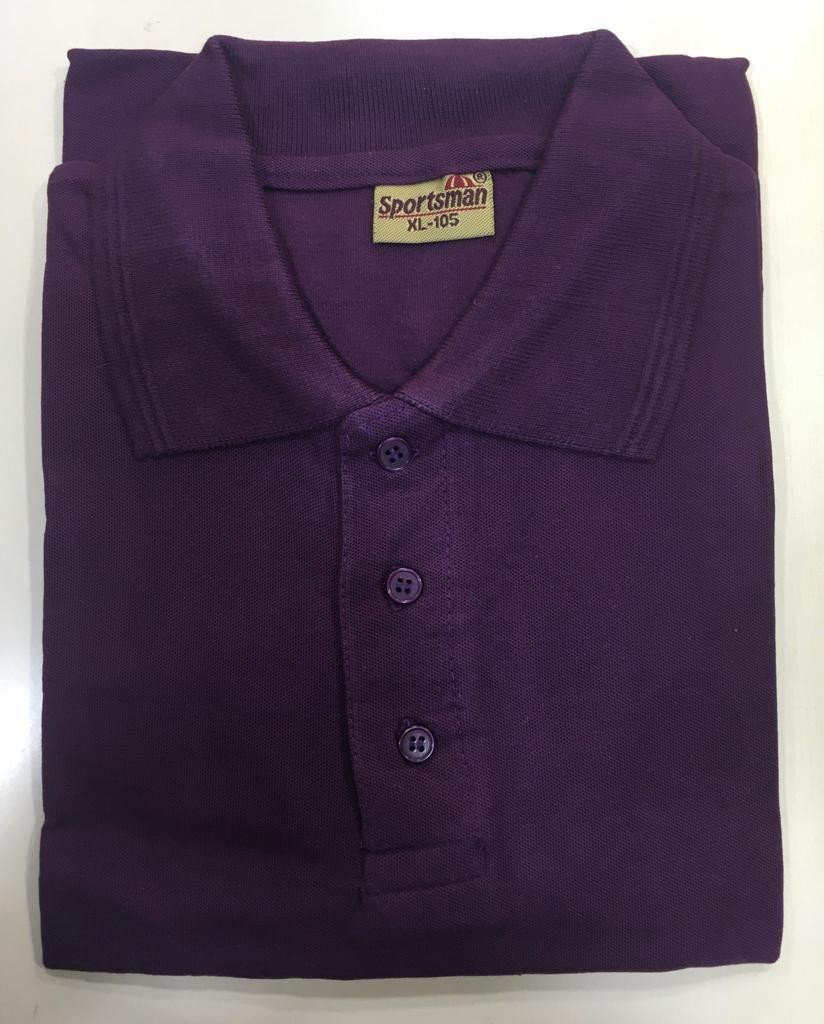 Wine-Sportsman Polo neck T-Shirt supplier - 230 Gsm