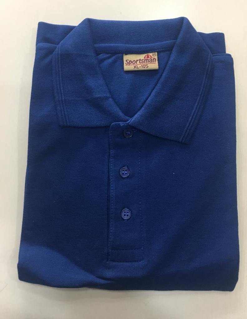 Royal Blue-Sportsman Polo neck T-Shirt